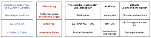 Typ-1-Diabetes: Eine Autoimmunerkrankung - Diabetes-news : Diabetes-news